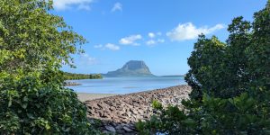 Why an open source requirement (“public money, public code”) is not enough for digital sovereignty