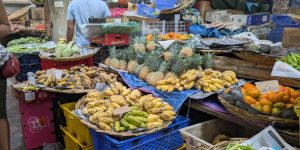 Don’t blame the AI; it’s on you